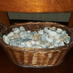 Basket full of seashells